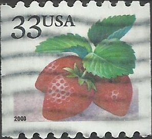 # 3405 USED STRAWBERRIES