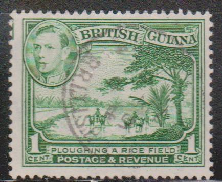 BRITISH GUIANA Scott # 230a Used - KGVI & Plowing Rice Field