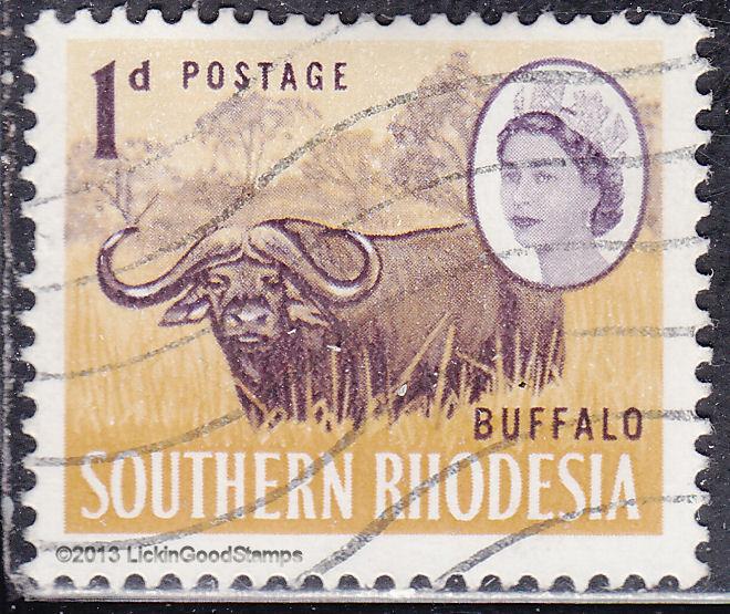 Southern Rhodesia 96 USED 1964 Cape Buffalo