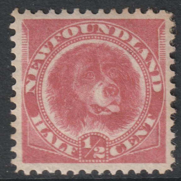 Canada Newfoundland Scott 56 - SG49, 1887 Newfoundland Dog 1/2c MH*