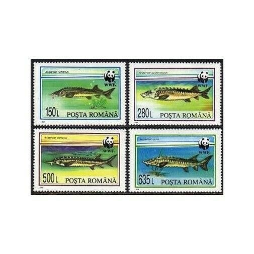 Romania 3954-3957,MNH.Michel 5034-5037. WWF 1994.Fish.