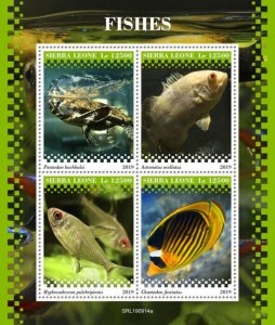 Sierra Leone 2019 MNH Fish Stamps Fishes Freshwater Butterflyfish Oscar 4v M/S
