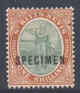 St. Kitts-Nevis Scott 7 - SG7, 1903 Colombus 1/- Specimen Overprint MH*