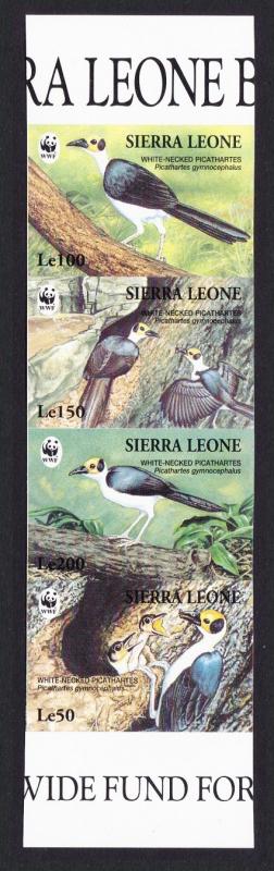 Sierra Leone Birds WWF White-necked Picathartes Strip of 4 imperforated stamps