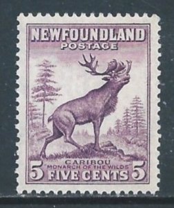 Newfoundland #191 NH 5c Caribou Die II