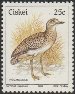 South Africa-Ciskei #23 1981 25c Spotted Thick-knee MNH.