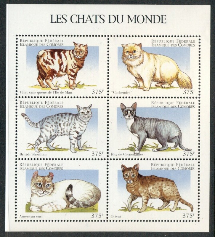 CATS - PETS - COMOROS ISLANDS: 2009 MNH Souvenir Sheet