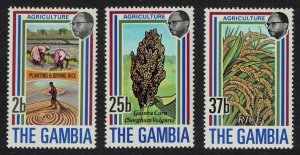 Gambia Agriculture 1st series 3v 1973 MNH SG#301-303