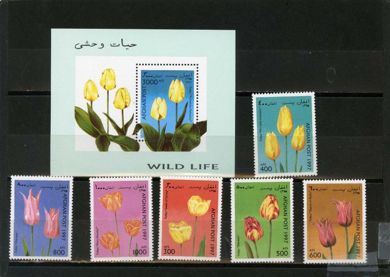 AFGHANISTAN 1997 Mi#1719-1724,Bl.93 FLOWERS TULLIPS SET OF 6 STAMPS & S/S MNH