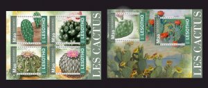 Stamps. Plants, Cactus 2023 year 1+1 sheets perforated MNH**