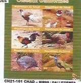 CHAD - 2021 - Birds, Galliformes - Perf 6v Sheet - Mint Never Hinged