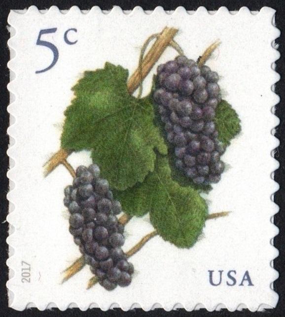 SC#5177 5¢ Grapes Single (2017) SA