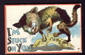 POSTAL HISTORY - BIG FLATS NY USA 1910 - CAT stuck on paper POSTCARD