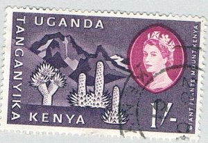 Uganda Kenya and Tanganyika 129 Used Mt. Kenya and giant plants 1960 (BP77114)