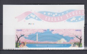 ​USA Sc#4651-52 Cherry Blossom  Forever Stamp MNH