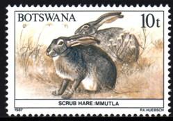 Botswana - 1987 Animals 10t Hare MNH** SG 626