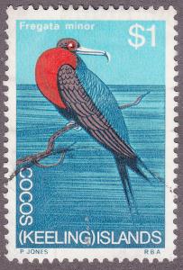 Cocos Islands 19 Fregata Minor, Bird 1969