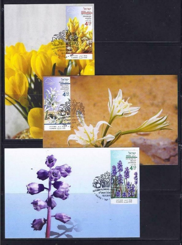 ISRAEL 2019 AUTUMN FLOWERS SET OF 3 STAMPS MAXIMUM CARD FLORA