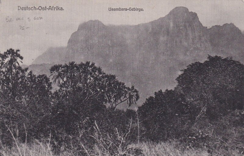 1917 British Occupation of Tanga, German East Africa, FPO 304 to ... (HS1522)