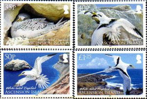 237954 MNH ASCENSION 2009 AVES