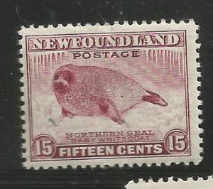NEWFOUNDLAND 118, CG, SEAL