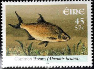 Ireland Scott 1347 Bream Fish stamp