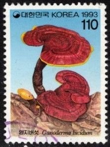 Korea - #1696 Mushrooms - Used