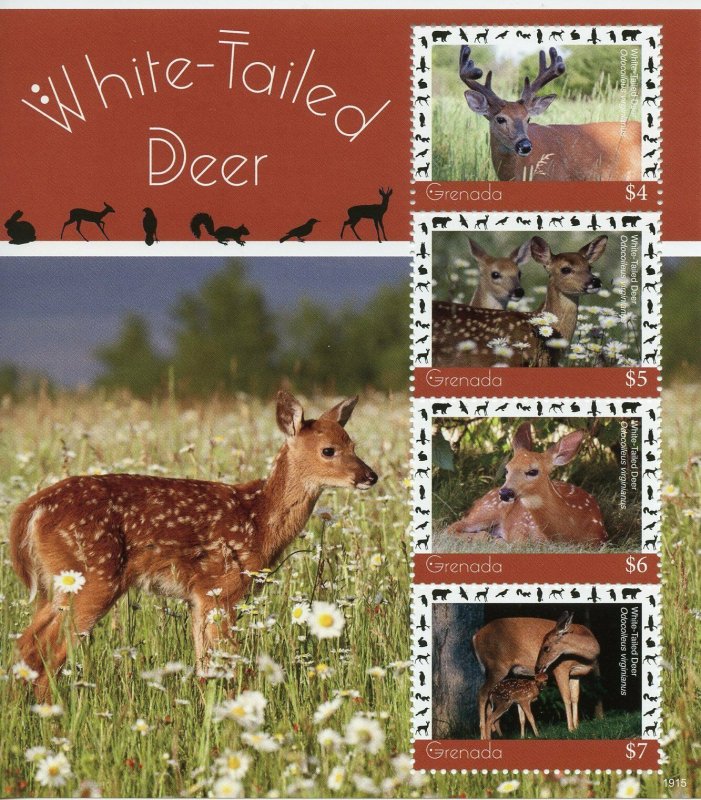 Grenada 2019 MNH White-Tailed Deer 4v M/S Mammals Wild Animals Stamps