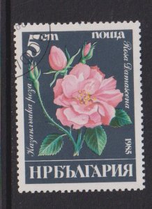 Bulgaria   #3075  cancelled  1985  roses  5s