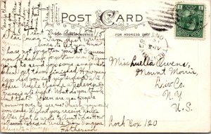 Canada 1915 Trent River Ont PPC - A02202