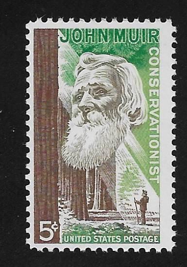 SC# 1245 - (5c) - John Muir, MNH