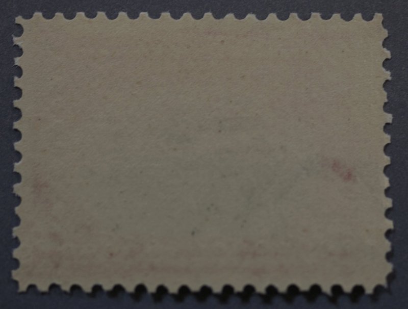 United States #295 Two Cent Pan-American Expo MNH Rose Carmine