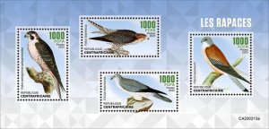 Central Africa - 2023 Birds of Prey, Falcon - 4 Stamp Sheet - CA230213a