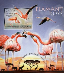 Flamingos Stamp Phoenicopterus Minor Bird S/S MNH #4810 / Bl.780