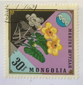 Mongolia 1974 Scott 820 CTO - 30m, Environment protection, plant, Marsh Marigold