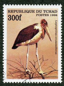 Birds, Marabou Stork (Leptoptilos crumeniferus) 1999 Chad, Scott #778