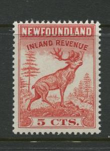 Newfoundland - Scott ? - Inland Revenue Issue -  MNH - Single 5c Stamp