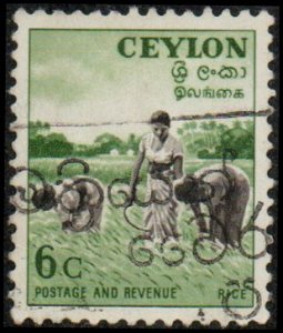 Ceylon 321 - Used - 6c Harvesting Rice (1954)