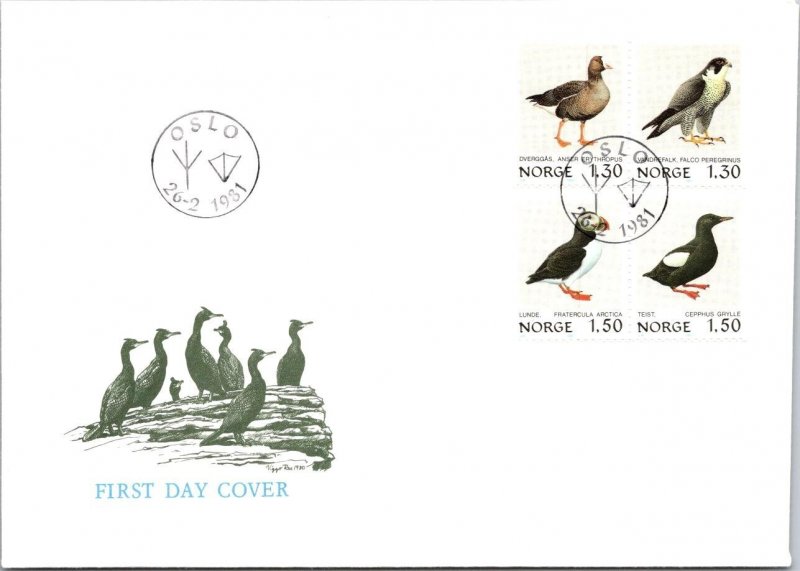 Norway FDC 1981 - Oslo - J16247