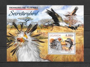 BIRDS - UGANDA #2022  SECRETARY BIRD   MNH