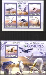 Comoro Islands 2009 Birds Herons Sheet + S/S MNH