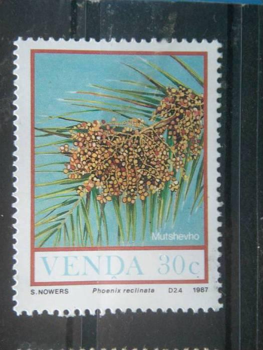 VENDA, 1987, MNH 30c, Food of the Veld, Scott 174 CV 0.70