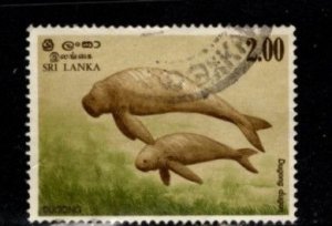 Sri Lanka #659 Dugongs - Used