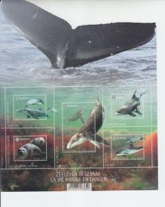2017 Belgium Sealife in Danger FS5 (Scott NA) MNH