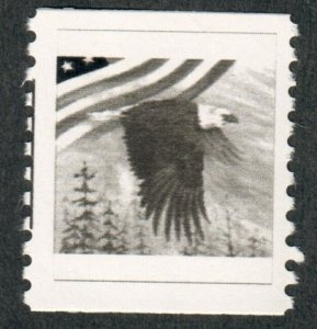 TD119 MNH Test Coil single