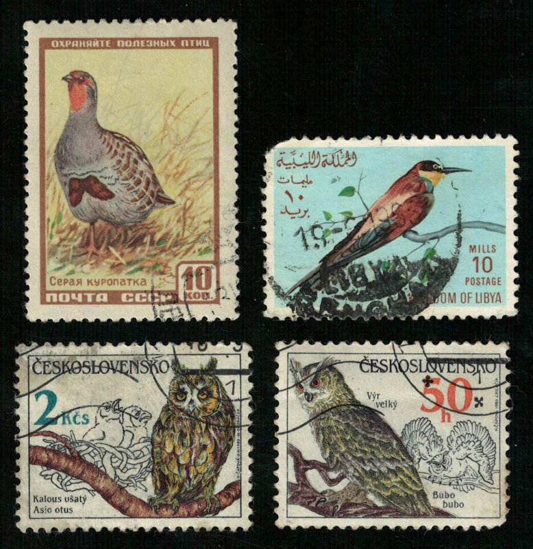 Birds, (3355-T)