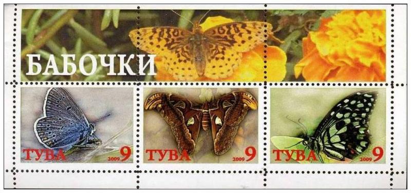 RUSSIA LOCAL SHEET CINDERELLA BUTTERFLIES INSECTS