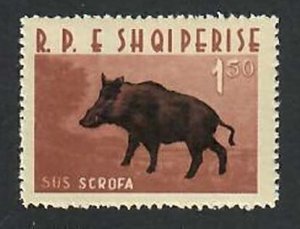 Albania; Scott 641; 1962; Unused; NH