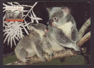 Australia Koala Postal Card FDC