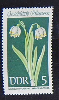 DDR, Flowers, (1551-Т)